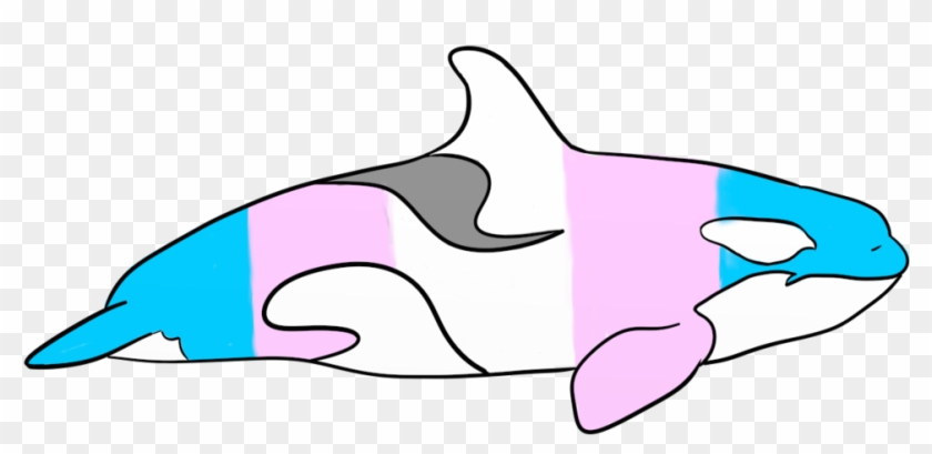 Pride Whales Transgender By Aleksi Ann - Pride Whales Transgender By Aleksi Ann #742947