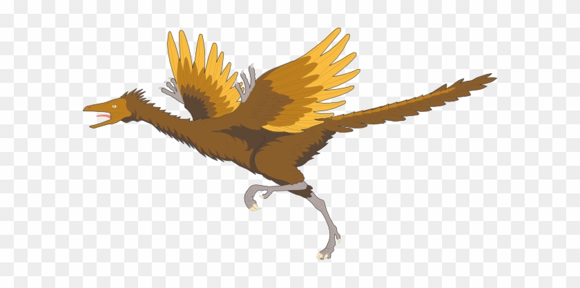 Archaeopteryx Clipart - Archaeopteryx Png #743288