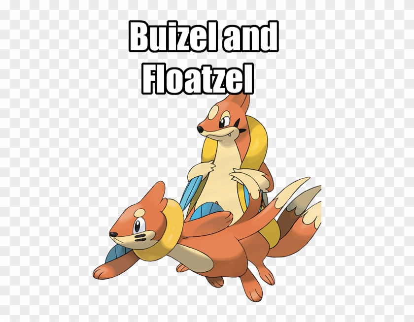 pokemon buizel evolution chart