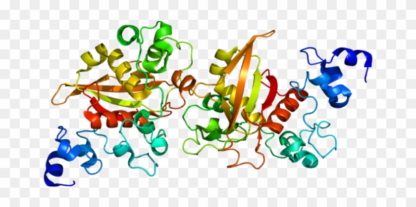 Notch Protein #744358