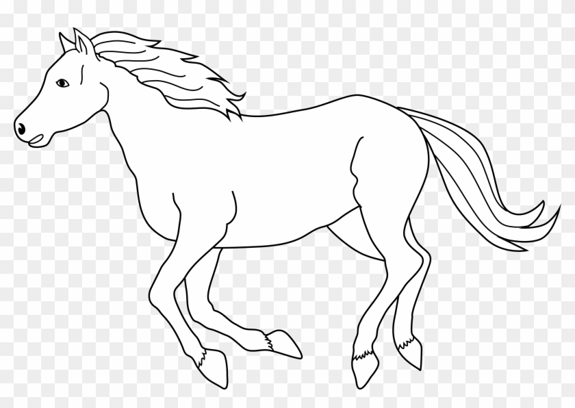 galloping horse coloring page  white horse clipart png