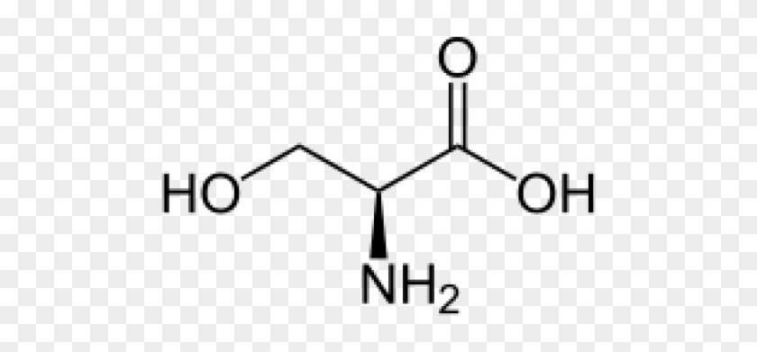 Immobilized L-serine - 2 3 Diaminopropionic Acid #748348