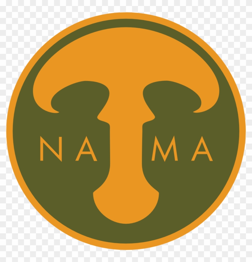 Nama - Advanced Systemcare #748477