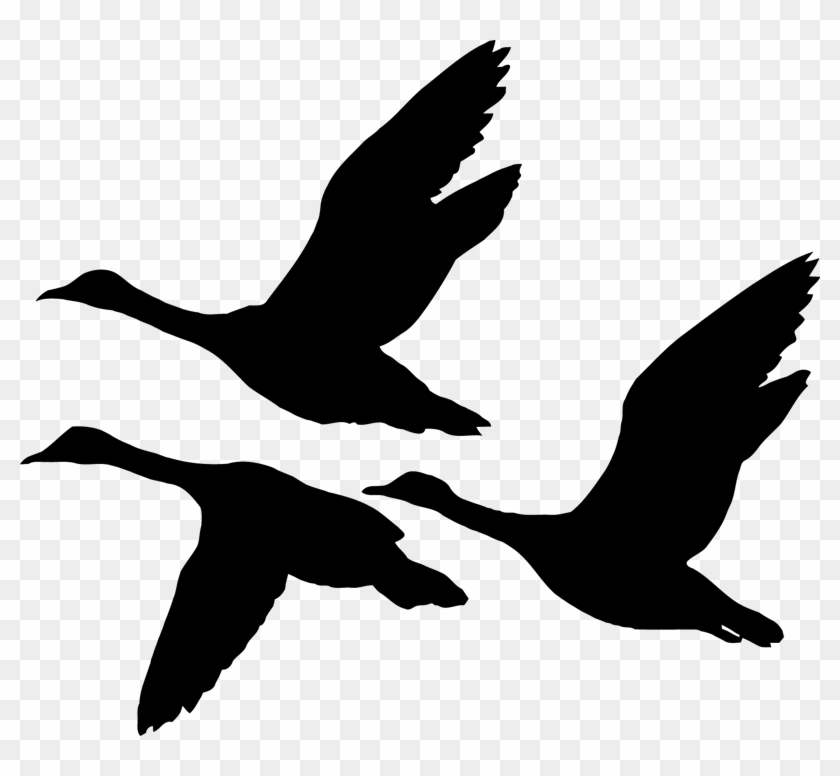 Tamzdezignsproduct Categories Archives Page 47 Of 58 - Flying Ducks Silhouette #751726