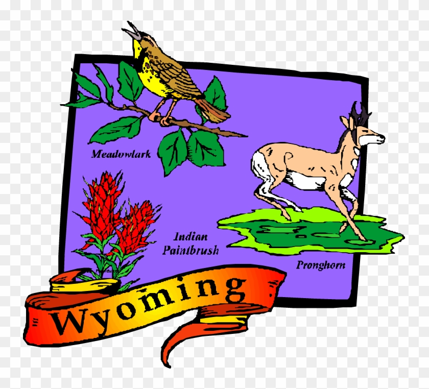 During A Disaster, It's Important To Be Prepared And - Wyoming Map Postcards (package Of 8) #757369