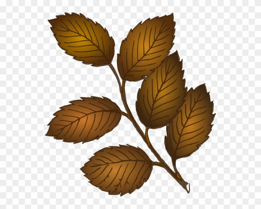 Fall Leaves Branch Svg Clip Arts 552 X 594 Px - Brown Branch With Leaves #758317