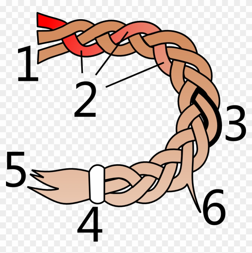 Parts Of A Hair Braid - Hank #758857