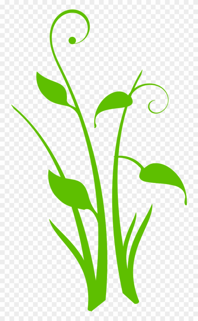 Grass Leaves Beautiful Design Png Image - Vectores Hojas Verdes Png #758924