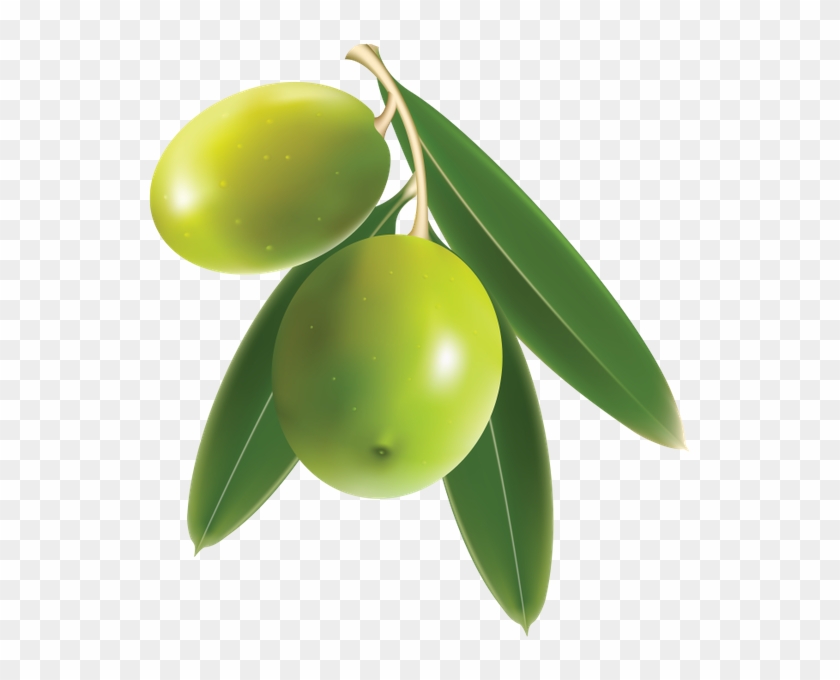 Зеленые Оливки, Веточка Оливы, Оливковое Масло, Green - Olive Png #761159