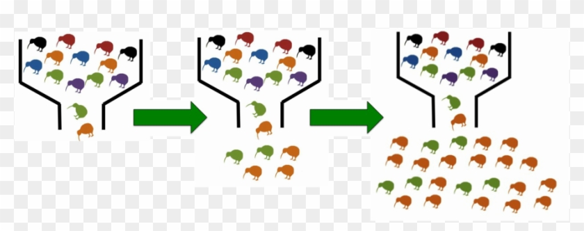 Inbreeding And Inbreeding Depression - Bottleneck Genetic Diversity #761875