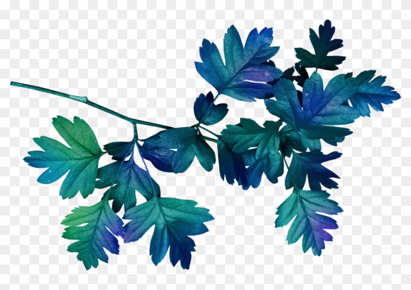 Leaf Clip Art - Blue Leaves Png #763019