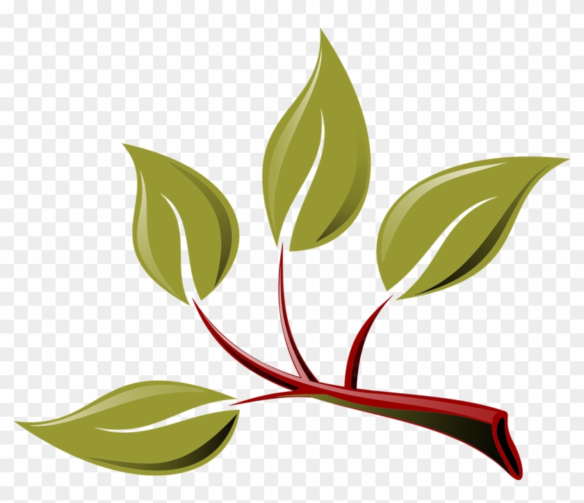 Leaf Branch Clip Art - Leaf Branch Clip Art #766001