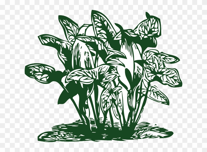 Outline, Plants, Leaf, Flowers, Cartoon, Free, Plant - Clip Arts Of Plants #767101