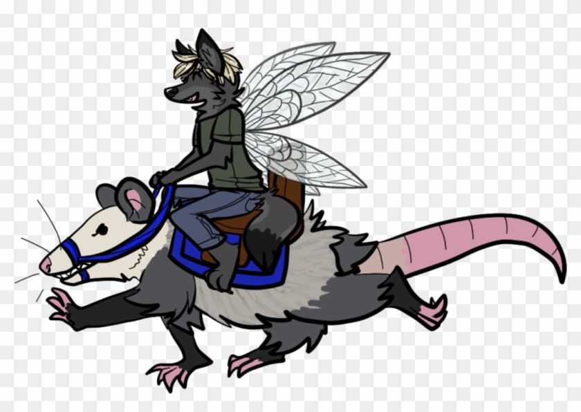 Possum Rider By Ladysilvie - Cartoon #768831