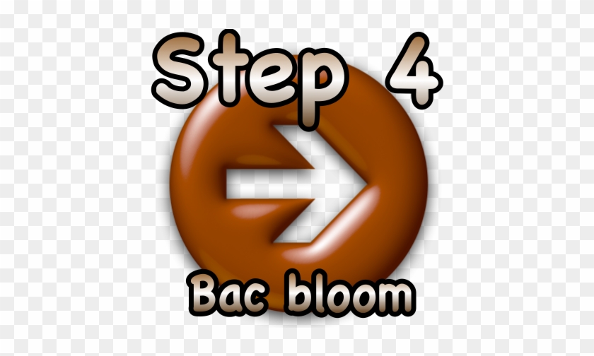 Step 4 Bac Bloom - Step 4 Clipart #139379