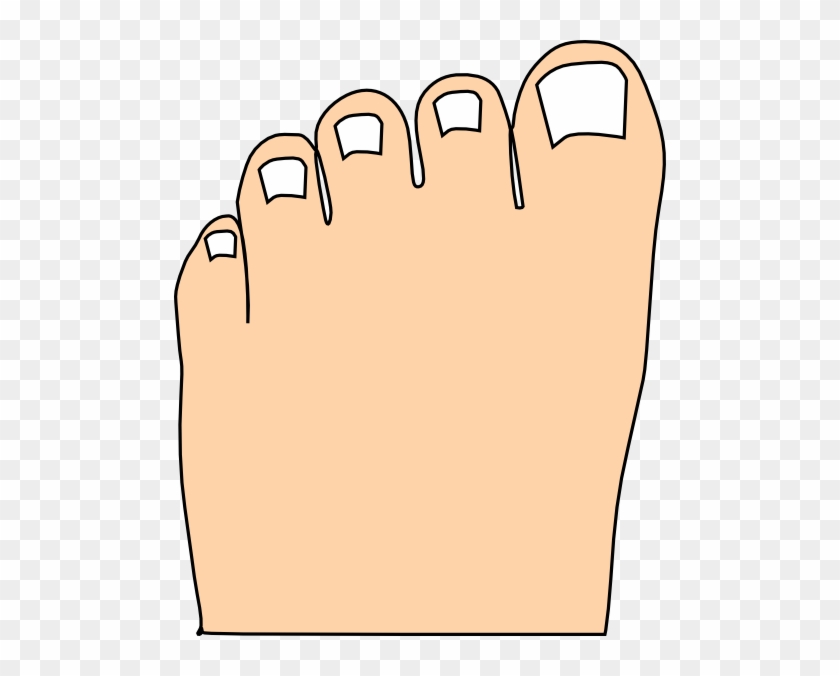 Cartoon Picture Of Toes - Free Transparent PNG Clipart Images Download