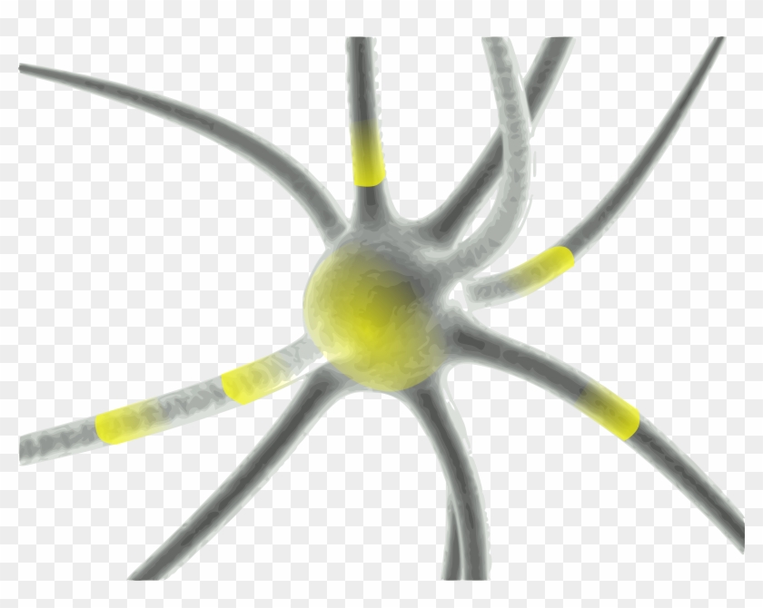 Synapses Transparent #771683