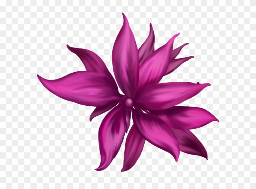 Pink Flower Graphic - Bromelia #771941