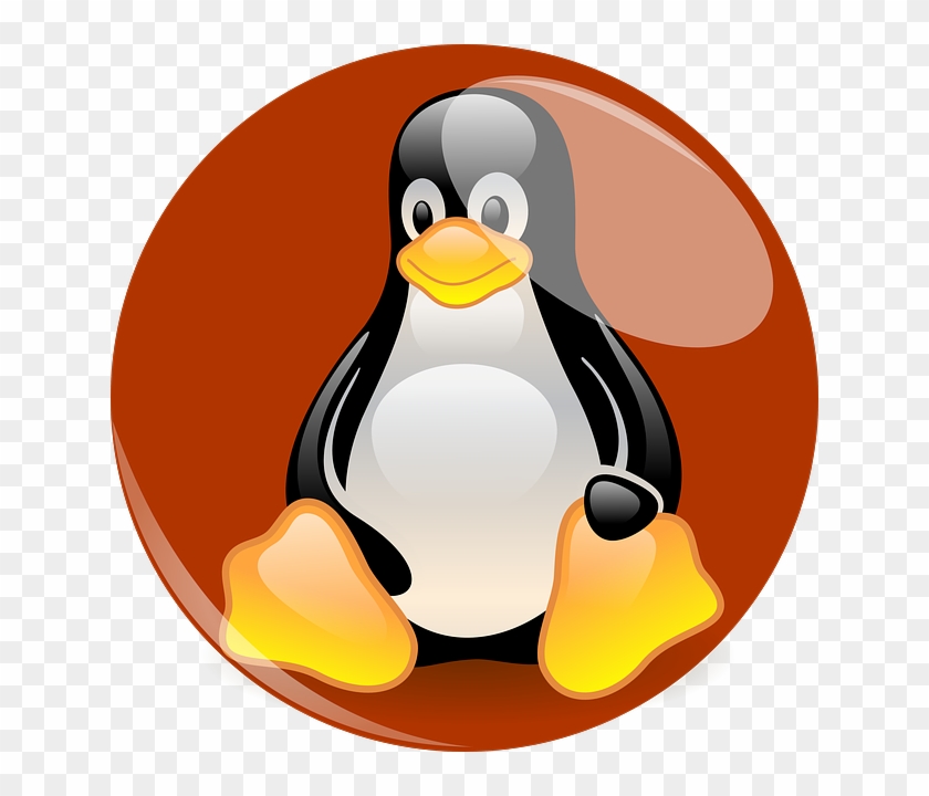 Penguin, Linux, Mascot, Cartoon Character, Fig, Brown - Transparent Linux Penguin Pointing Up #774132