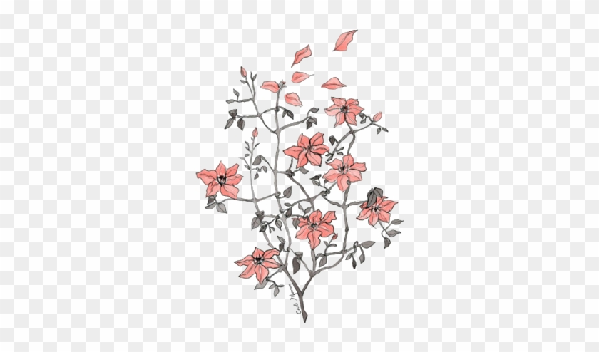 Tumblr Transparent Flower Drawing  Flower Drawings  Free Transparent PNG  Clipart Images Download
