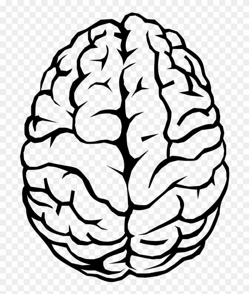 Brain Line Art Illustration - Brain Clipart Transparent Background #775392