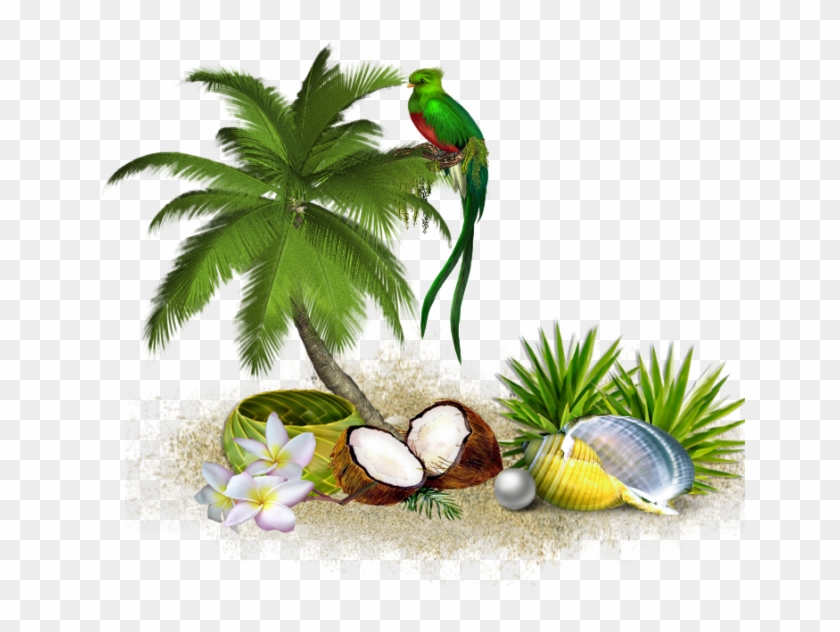 Отдых И Путешествия - Palm Tree Clip Art #777675