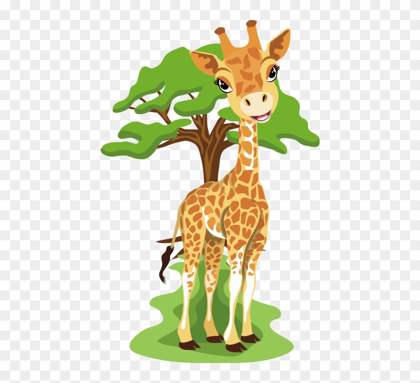 Baby Giraffes West African Giraffe Free Content Clip - Baby Giraffes West African Giraffe Free Content Clip #778036