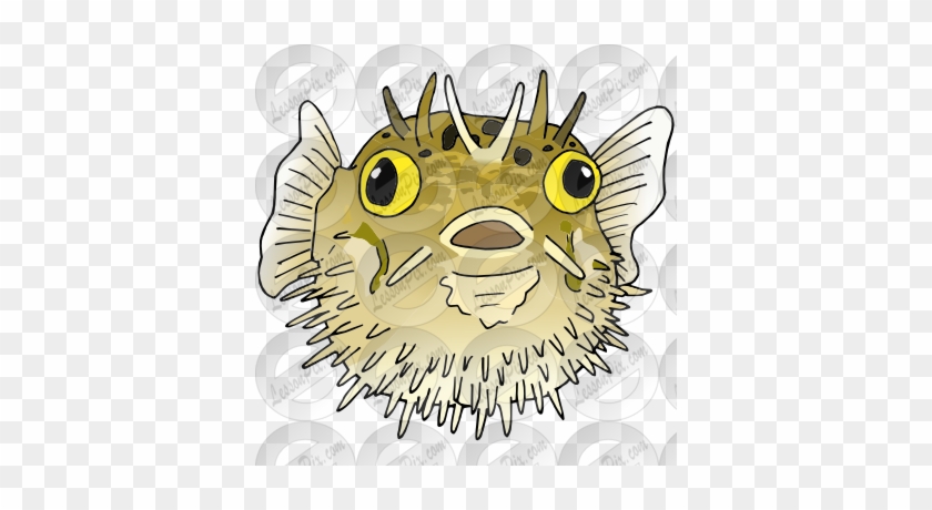 Pufferfish Picture - Cartoon #778175