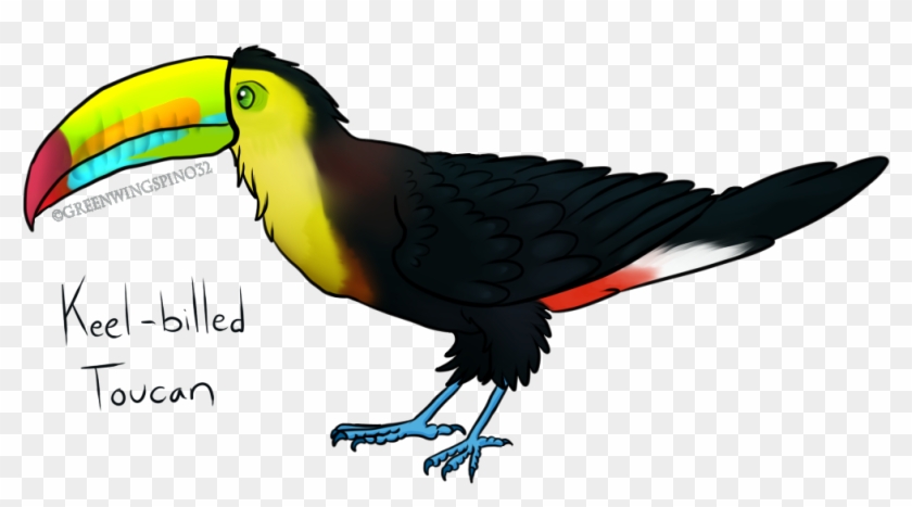 Keel Billed Toucan By Greenwingspino32 - Keel Billed Toucan Clipart #779114