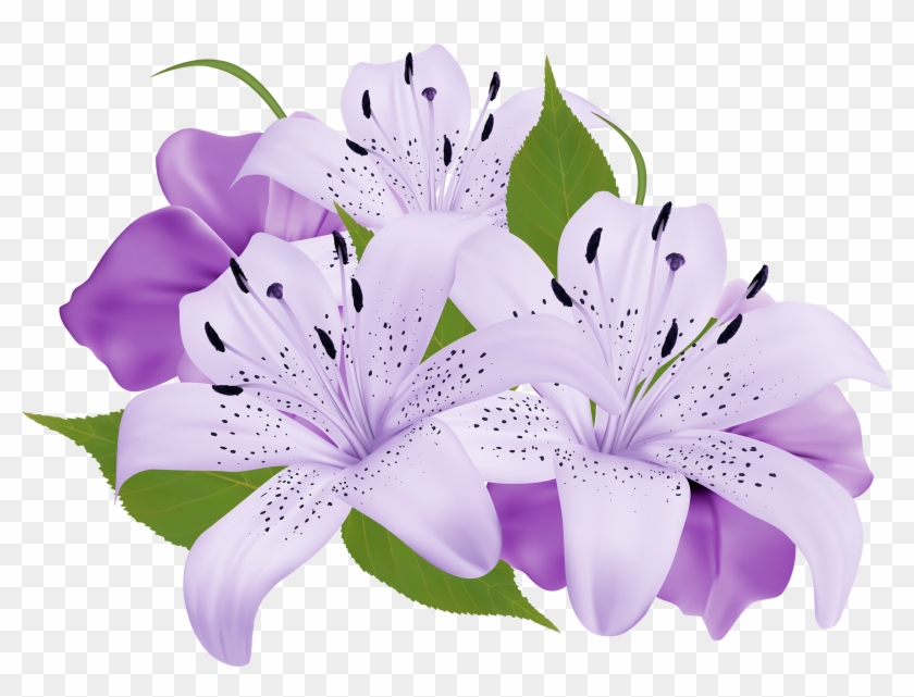 Purple Flower Clipart Beautiful Flower - Purple Flower Clipart ...