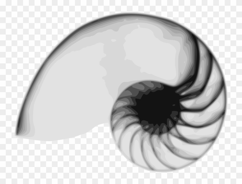 Free Vector Nautilus - Nautilus Svg #786462