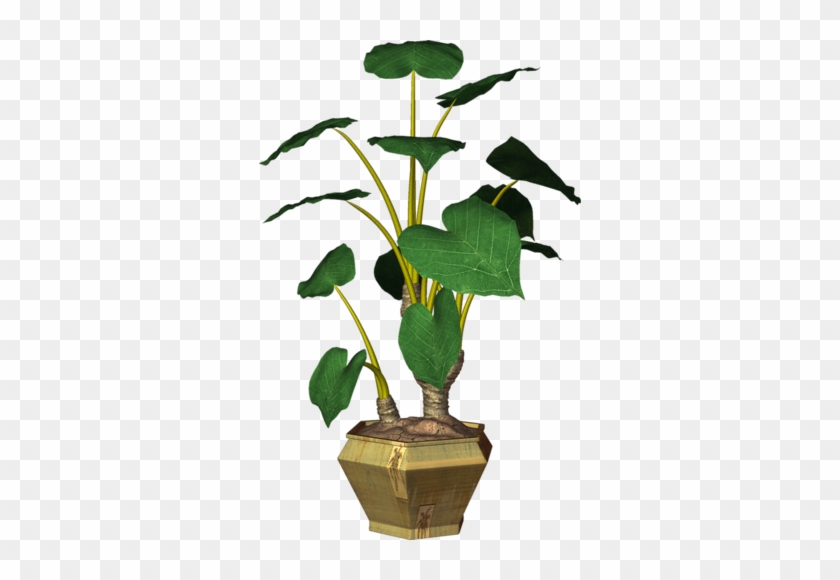 Garden Pot Plant - Houseplant #789057