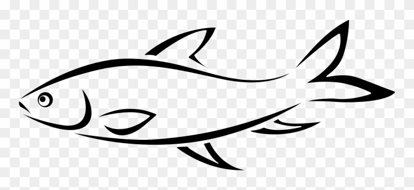 Fish drawing Black and White Stock Photos & Images - Alamy