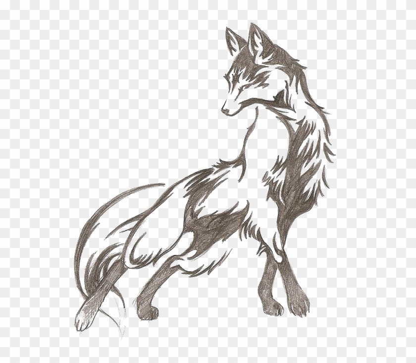 Tattoo Diego De La Vega Fox Drawing Idea - Tattoo Diego De La Vega Fox Drawing Idea #791017