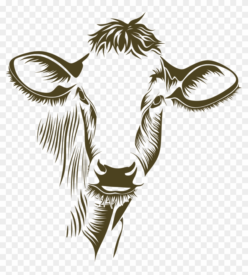 Cow / Id - Write Here Notebooks: Cow Notebook / Journal 100 Pages ...