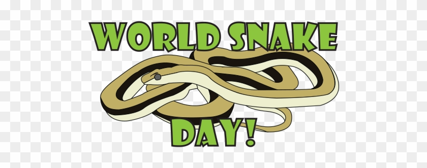 World Snake Day - News #791744