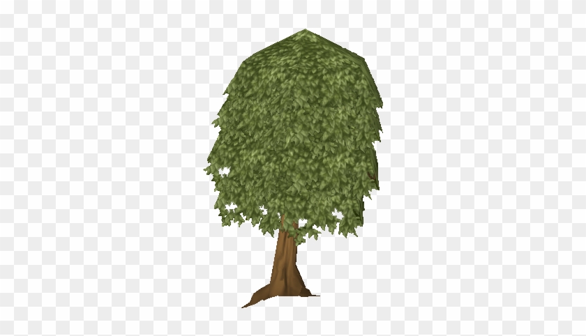 Trees Of Runescape Leave A Comment - Mango Tree #793626