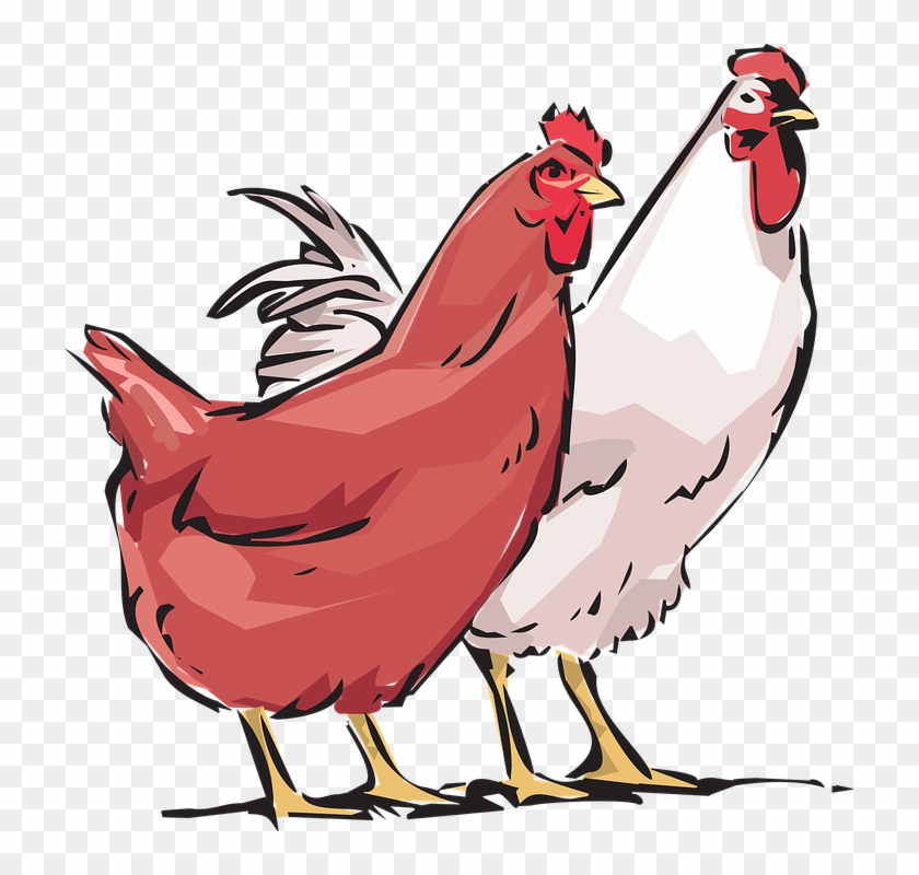 Farm Barn Cliparts 29, - Hen & Cock Png #795362