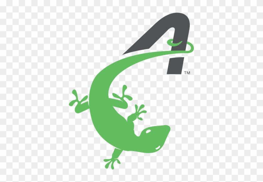 Compressed Activekids Gecko - Illustration #795904