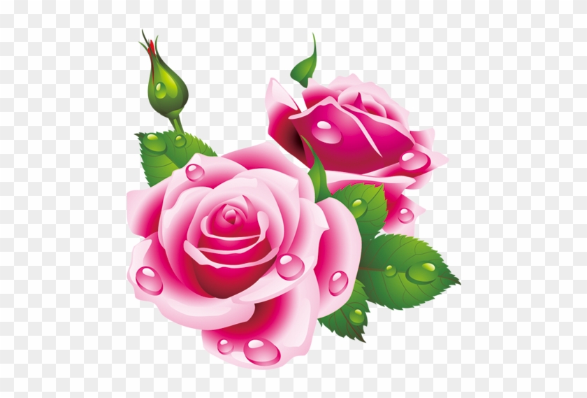 Rose Clip Art - Rose Clip Art #797159
