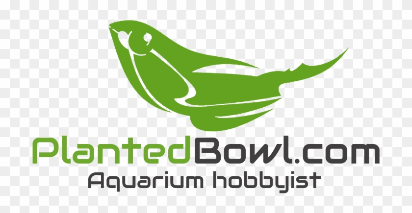 Com Planted Aquarium Blog Logo - Natural Foods #797615