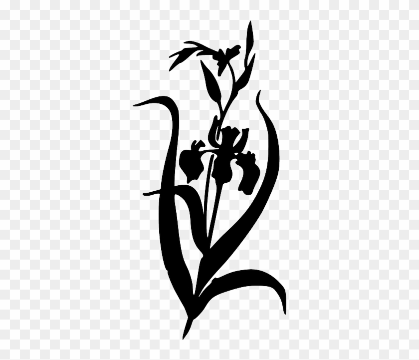 Silhouette, Flower, Free, Iris, Plant, Garden, Bush - Iris Clipart Black And White #798054