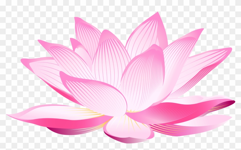 Lotus - Lotus Flowers Clip Art #801987