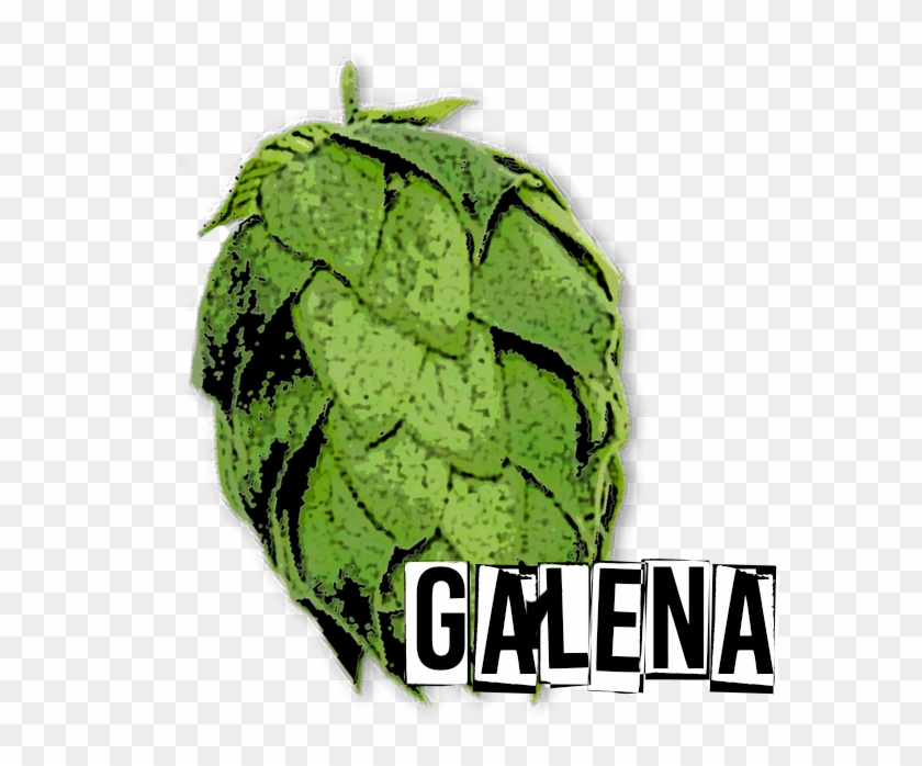 Galena-hop - Galena #802171