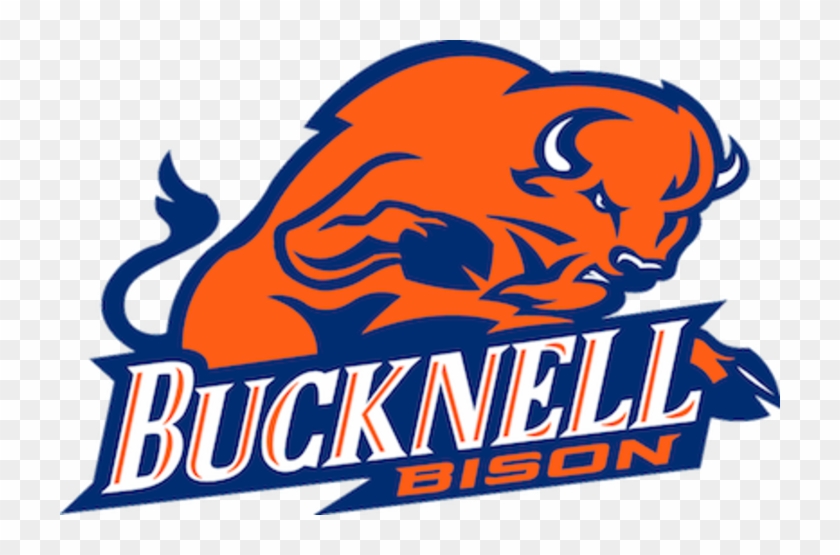 Bucknell Bison #802772