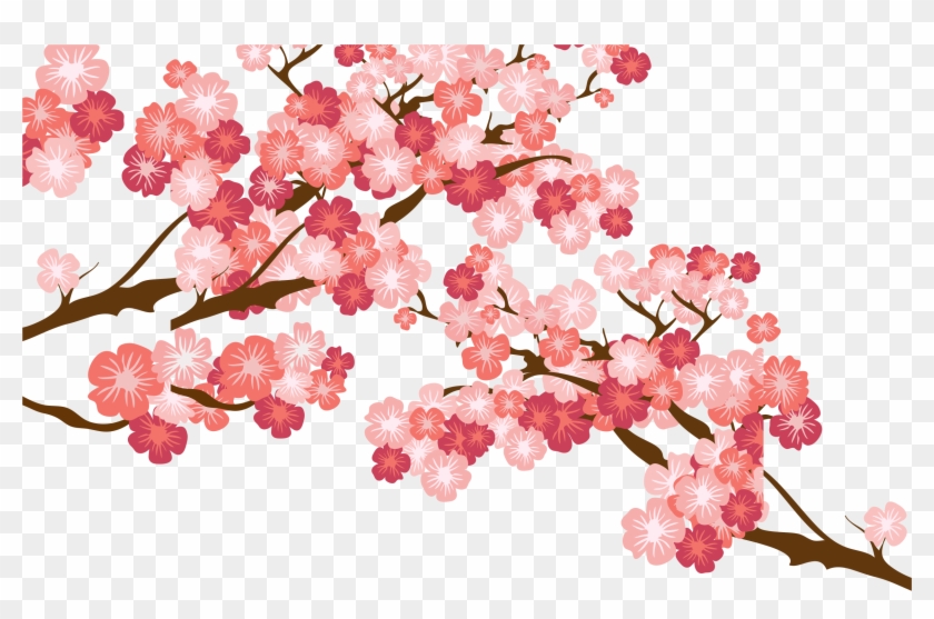 Cherry Blossom Cerasus - Ramas De Flores De Cerezo Png - Free Transparent  PNG Clipart Images Download