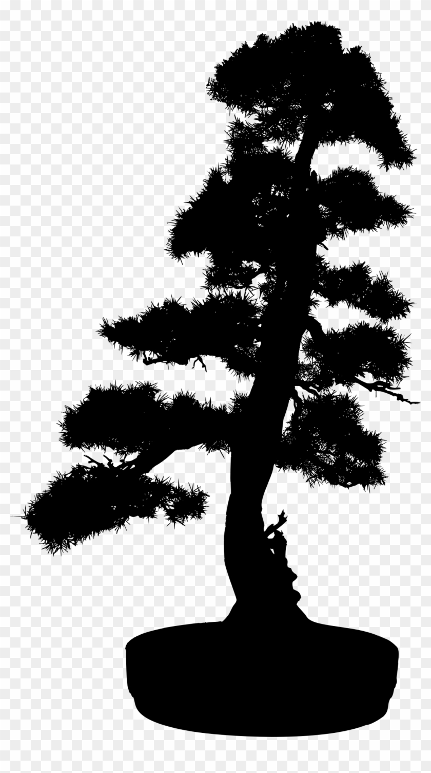 Big Image - Bonsai Tree Silhouette Png #803674