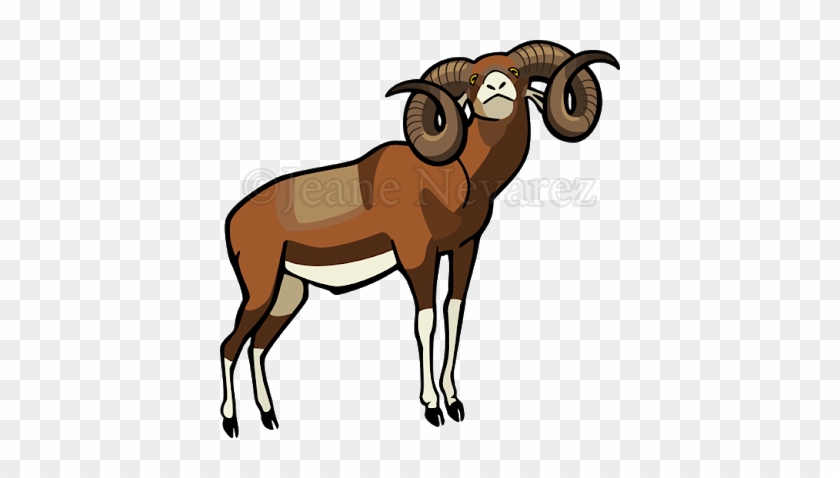 Mouflon - Mouflon Vector #808708