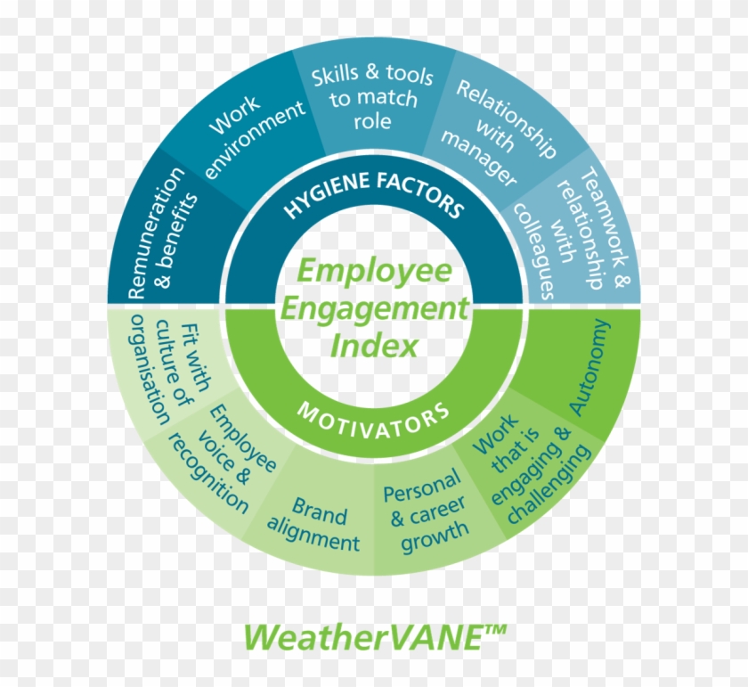 Weathervane V2 600 - Nhs Connecting For Health #810303