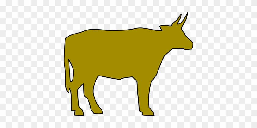 Cattle, Farm, Cow, Milk, Beef - Yellow Cow Png #812175